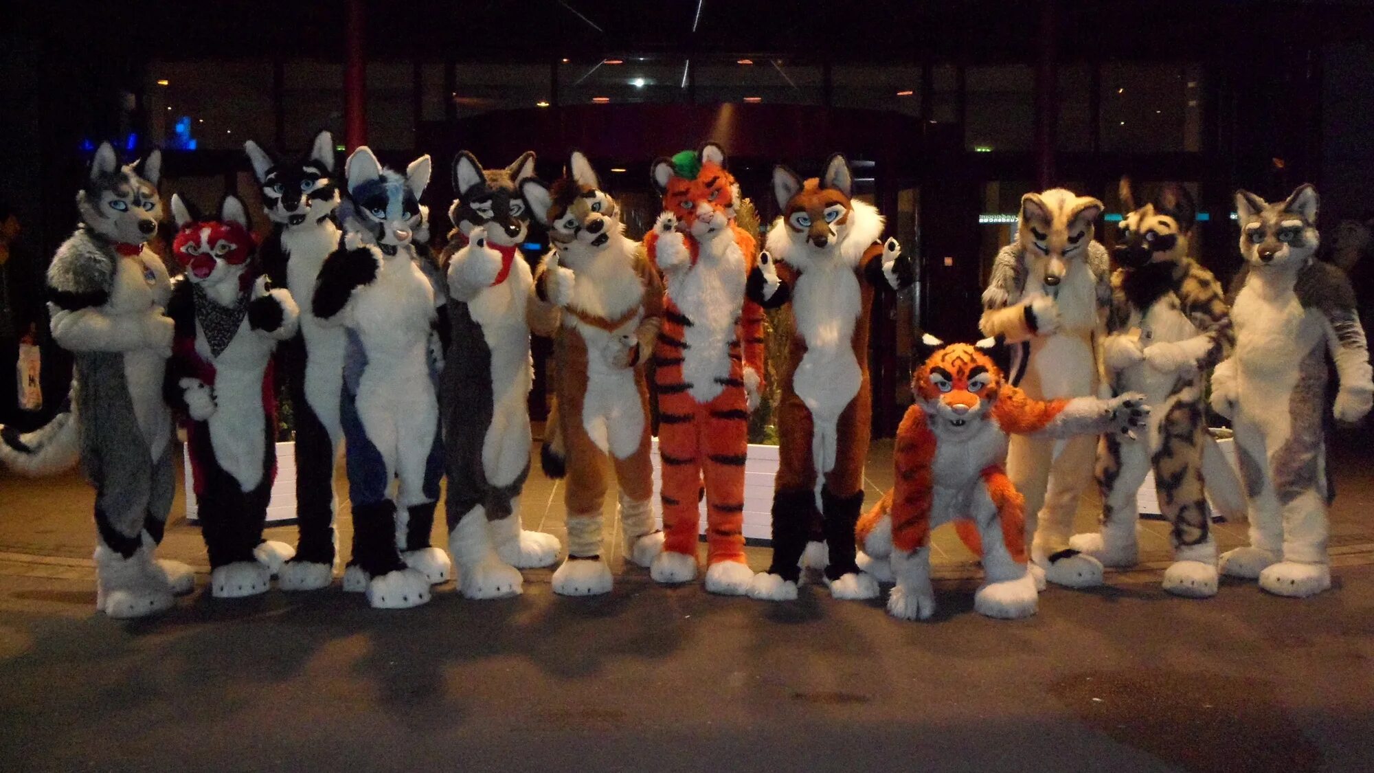 The paw's element. Eurofurence. The Paws element. The Paws element концерт.