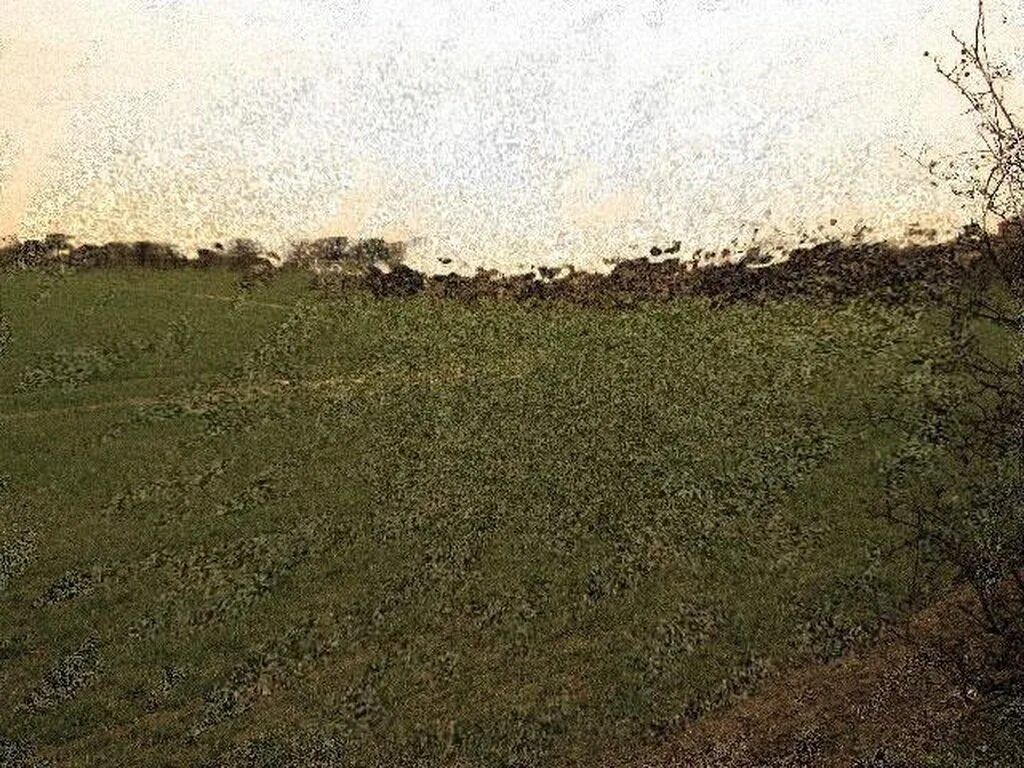 Искажающее поле