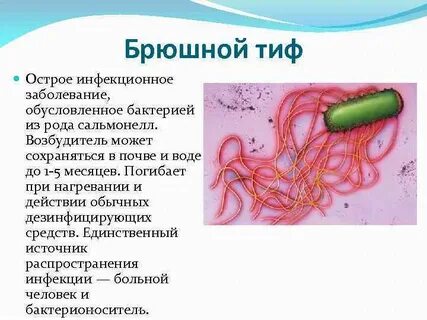 Брюшные инфекции