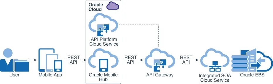 Платформа API. Облачные сервисы API. Oracle cloud platform. Hub облако.