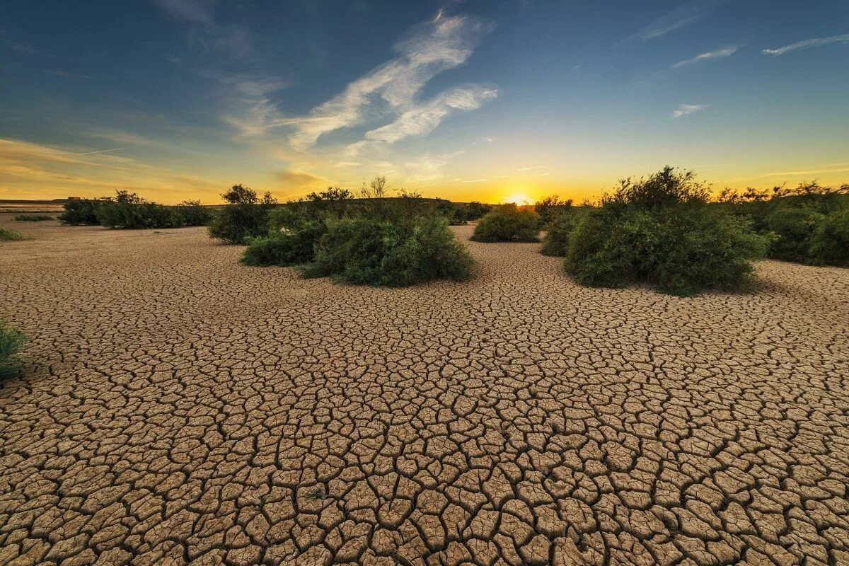 В виду длительной засухи мы часто. Засуха пиксабай. Аридное опустынивание. Эрозия почв, засоление, заболачивание, опустынивание.. 6.Опустынивание земель..
