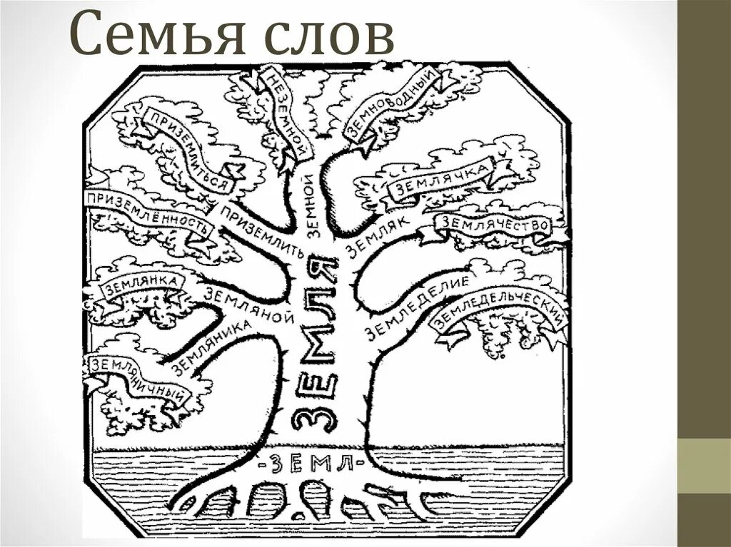 Характеристика слова дерево. Словообразовательное дерево. Дерево словообразования. Дерево с однокоренными словами. Дерево семья слов.