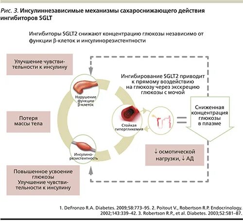 Ингибитор натрий глюкозного котранспортера 2 препараты. Ингибиторы SGLT. SGLT механизм действия. Ингибиторы sglt2 препараты список. Ингибиторы глюкозного котранспортера