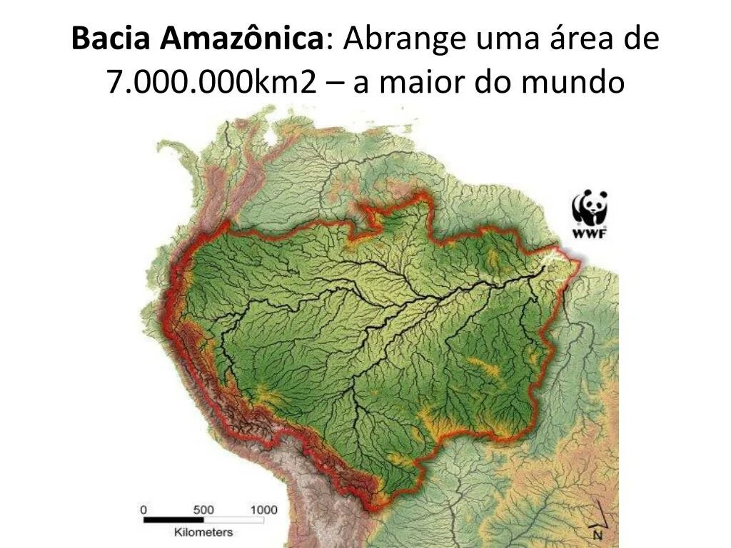 К каким бассейнам относятся реки южной америки. Граница бассейна реки Амазонка. Бассейн реки Амазонка на карте. Бассейн реки Амазонка на контурной карте. Границы бассейна реки Амазонка на карте.