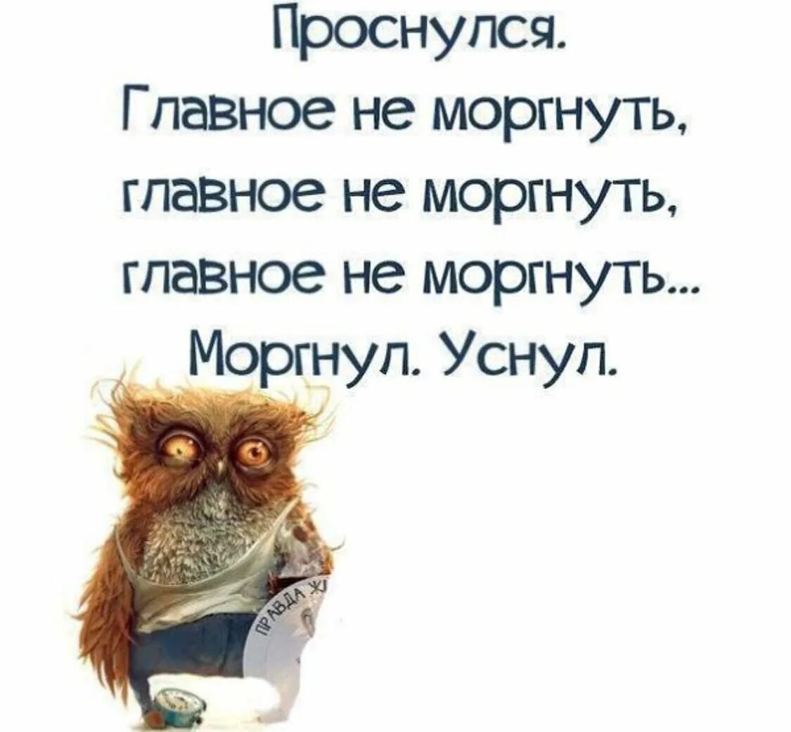 Чуть не проспал. Утренние афоризмы с юмором. Проснулся прикол. Просыпаемся картинки прикольные. Приколы по утрам.