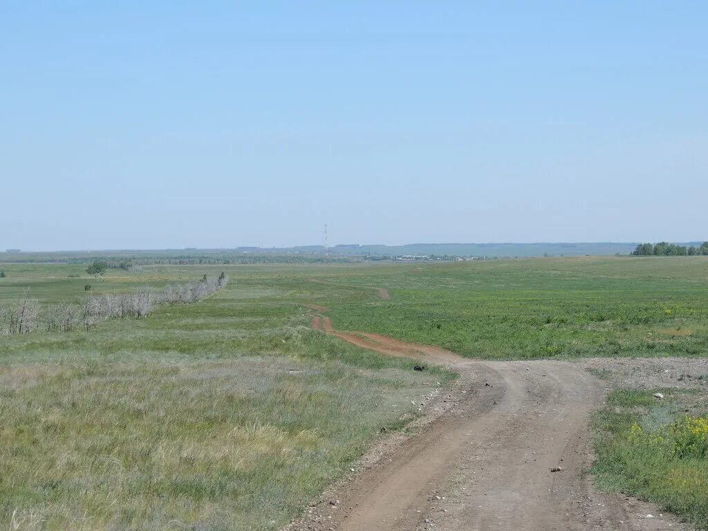 Георгиевка украина. Георгиевка Томск. Деревня Георгиевка Томская область. Георгиевка Тяжинский район. Самарская обл Георгиевка.