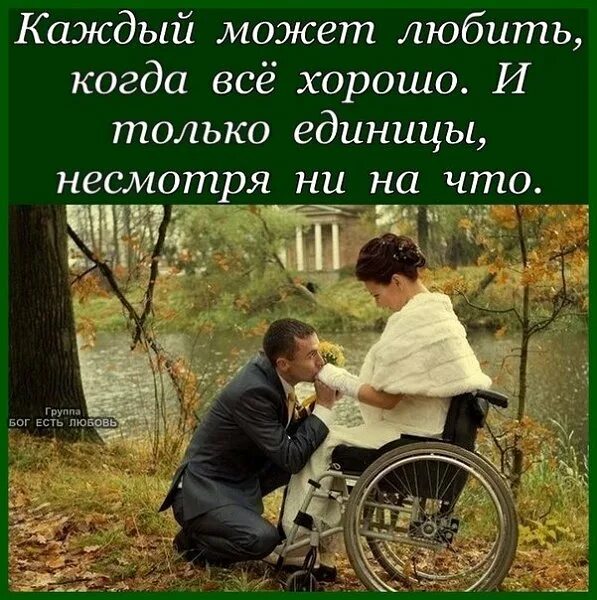 Несмотря на долгую жизнь. Надо жить несмотря ни на что. каждый может любить когда все. каждый может любить когда все хорошо и только. любовь не смотря ни на что.