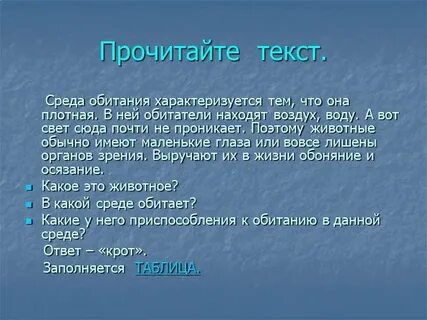 Среда текст
