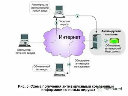 В чем состоит принцип вируса