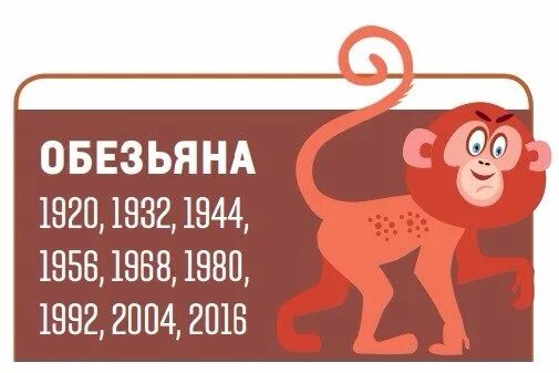год обезьяны. календарь 2028 года. смешные картинки мультяшные. 2020 год восточный гороскоп. год обезьяны 2028.