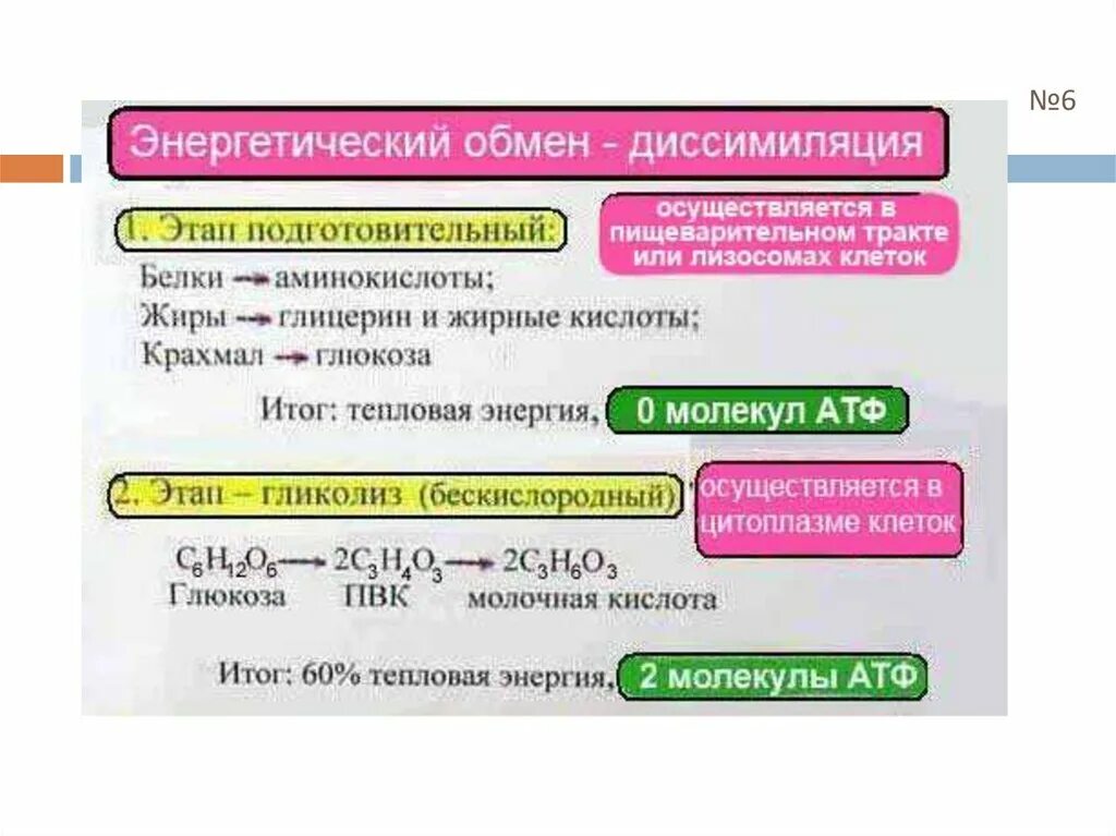 Три этапа обмена. Энергетический обмен диссимиляция этапы. Энергетический обмен диссимиляция этапы энергетического обмена. Формула кислородного этапа энергетического обмена. Этапы диссимиляции гликолиз.