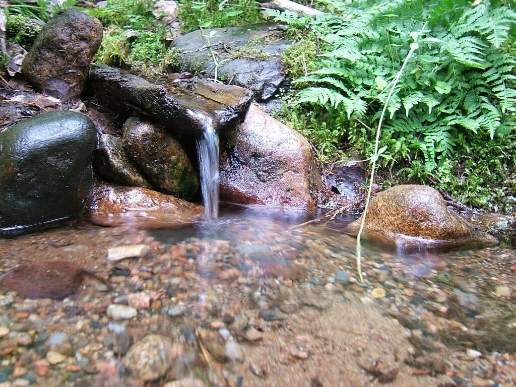 Родник роз. Родник. Источник воды. Природные источники воды. Родник ручей.