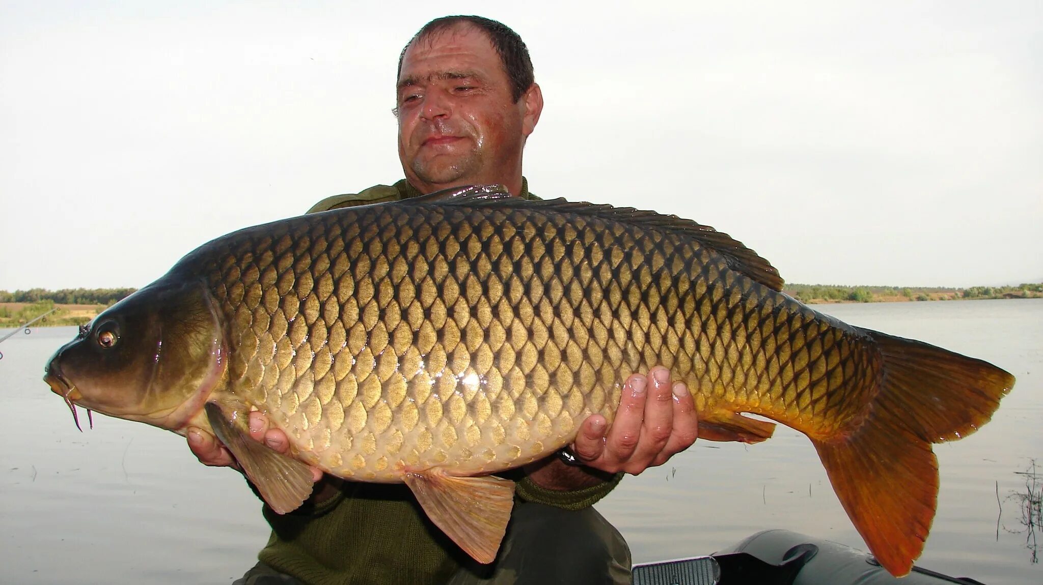 Ловля карпа. Карп спорт. Карповые соревнования. Красивые места для рыбалки. Вид солигорского водохранилища.
