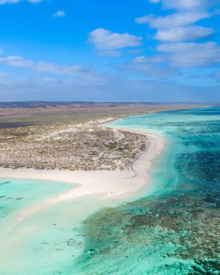 бухта сидней-харбор. тихий океан гавайи. австралия зеландия. даски-саунд новая зеландия. физическая карта австралии.