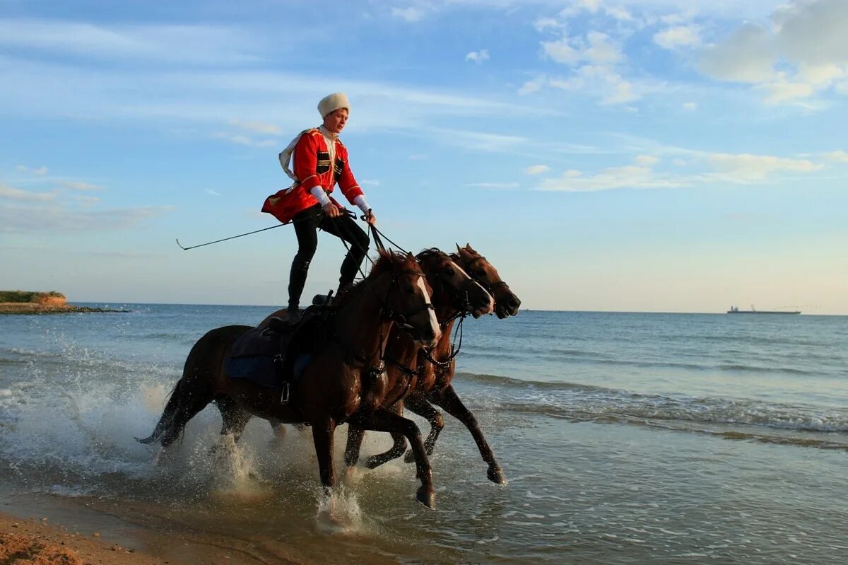 стоя на коне. всадник на коне. лошадь стоя. парень на конк. лошадь на дыбах с всадником.