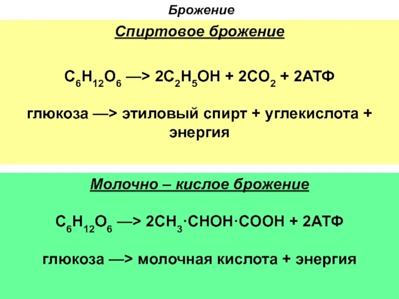 Глюкоза углекислый газ вода