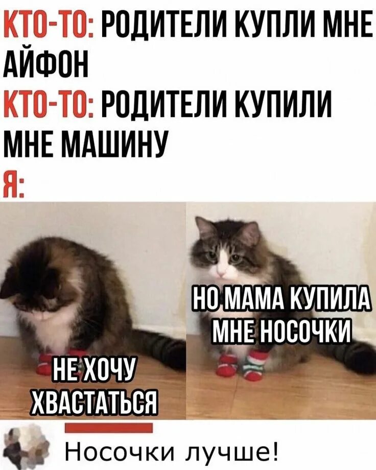 Лента по интересам - Юмор - 3392709 - Tabor.ru