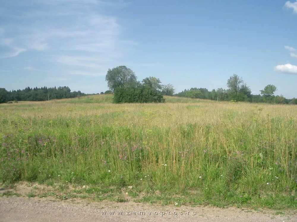 Земля в никольском. Земля в никольском. Кп монастырское озеро истринский район. Земля в никольском. Всего 18 км.