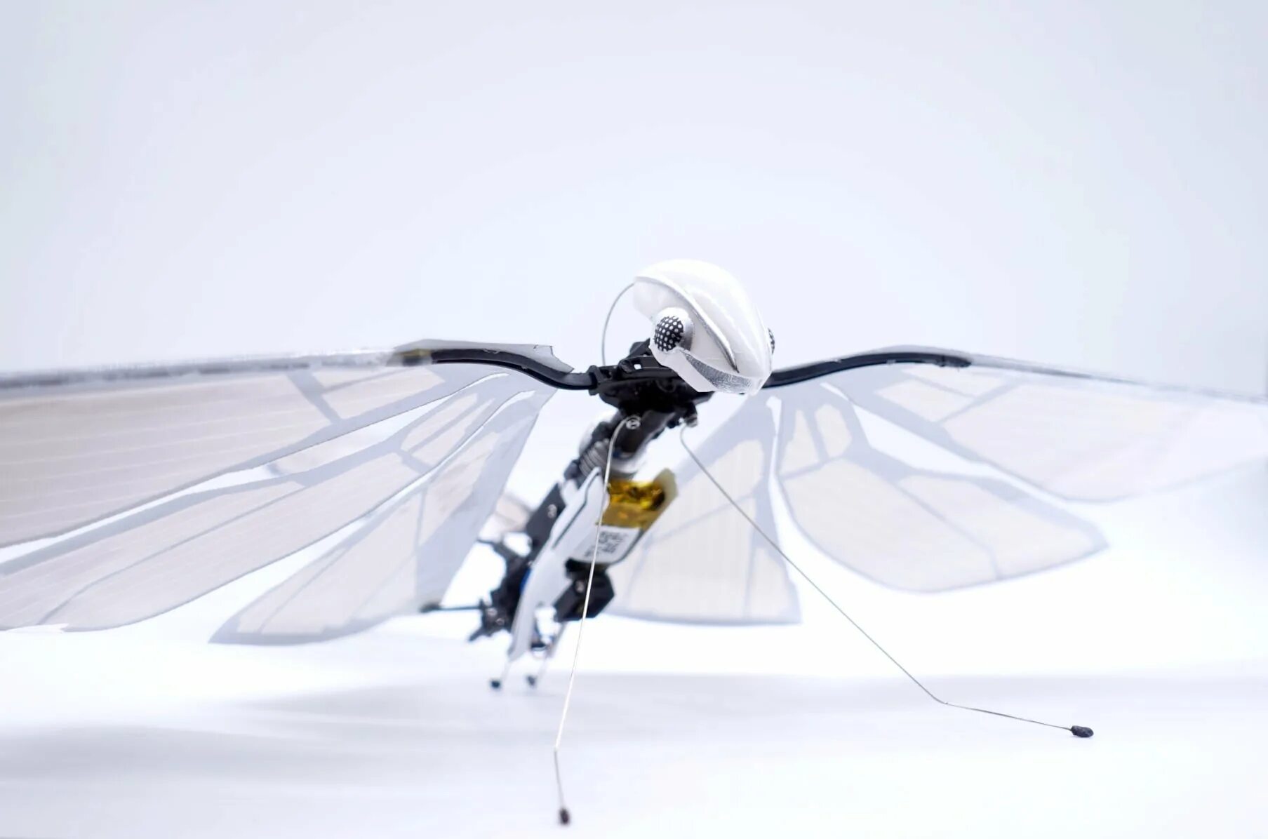 Робот Стрекоза Festo. Робот Metafly. Робот бабочка Фесто. Беспилотники Колибри. Flying robots