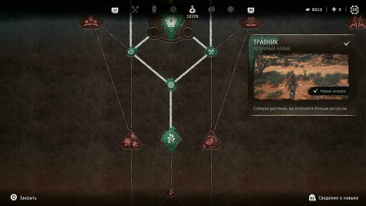 Forbidden west навыки. Horizon forbidden west навыки. Horizon forbidden west навыки список. Horizon forbidden west навыки. Горизонт фор бинден вест прокачка.