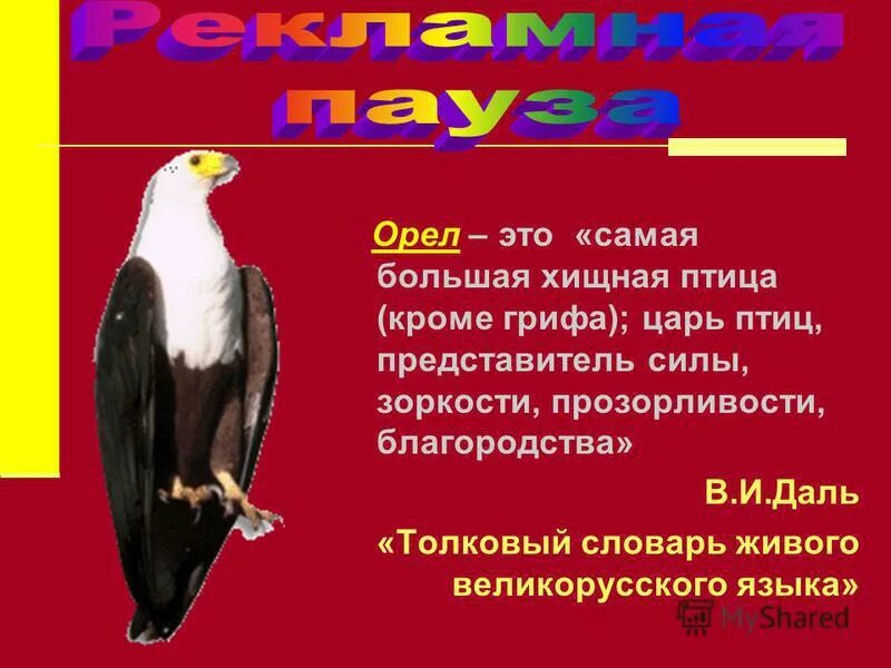 Орел царь птиц. Сценарий "царь птиц" орёл. Царь птица сила и зоркость. Рассказ Орел-царь птиц читать. Почему орел назван орлом