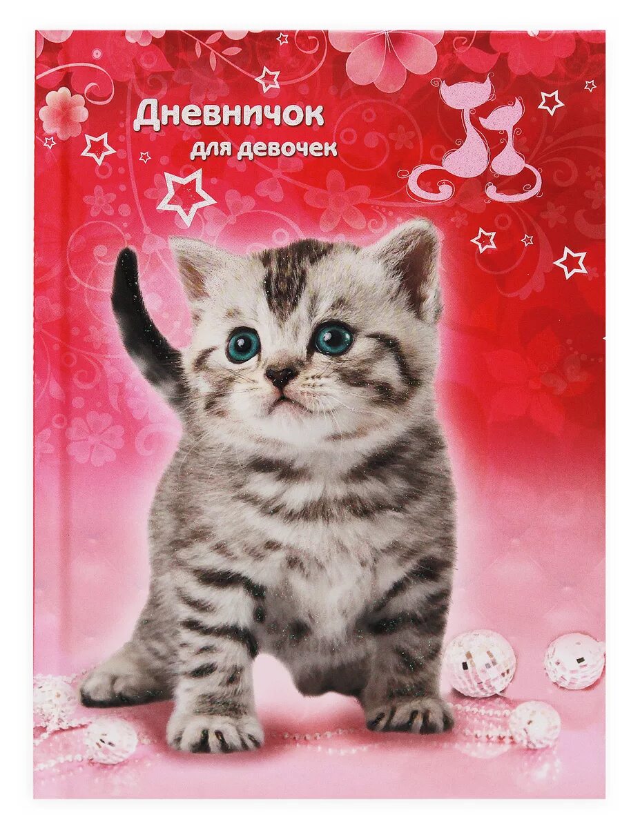 Дневничок для девочек. Любимый котенок. Котик для любимой девушки. Котенок дневник для девочки.
