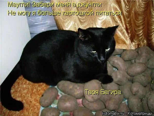 Как ни бывало или не бывало
