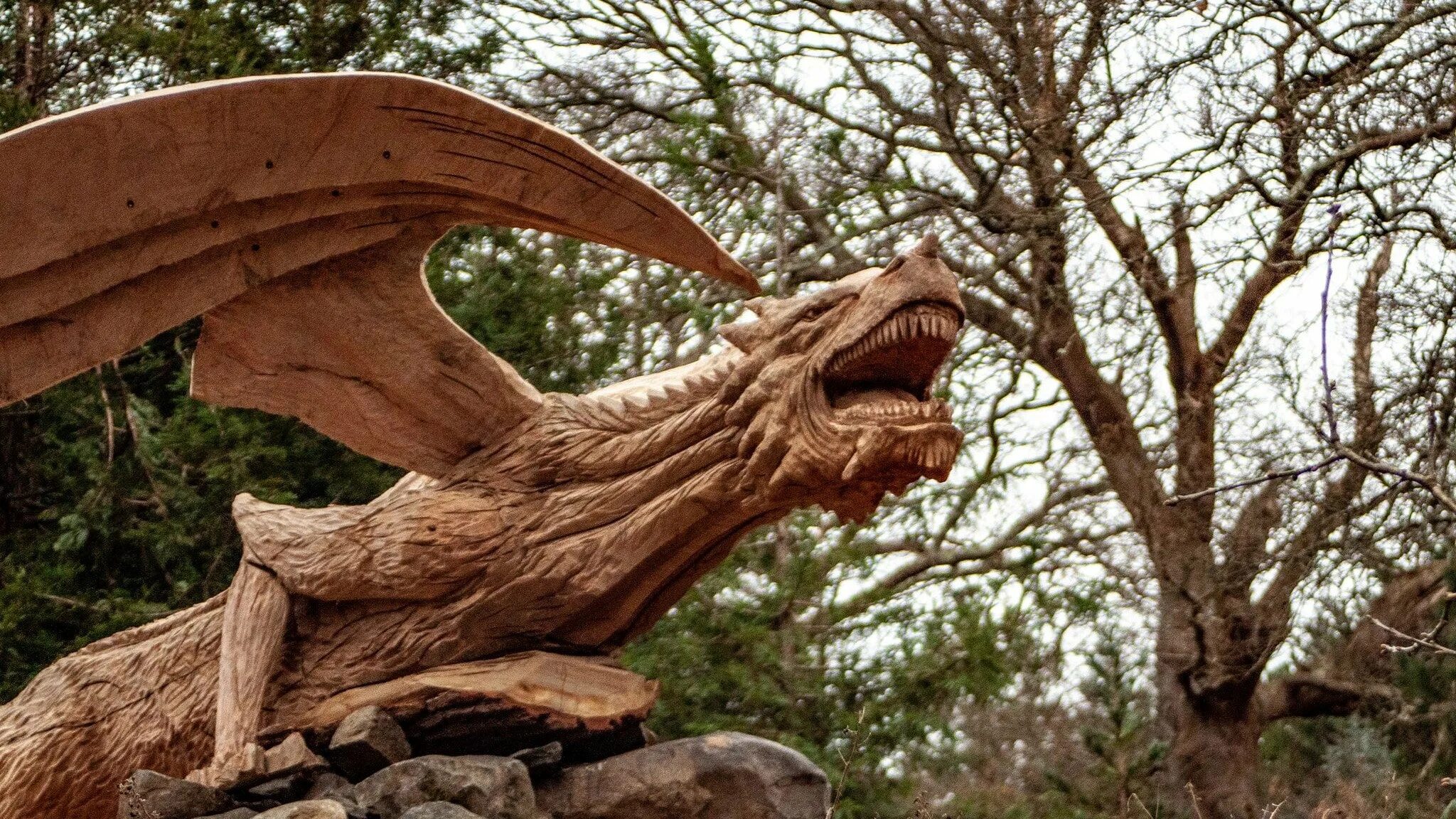 Года деревянного дракона какие. Деревянный дракон. Голова дракона из дерева. Резной деревянный дракон. Китайский дракон из дерева.