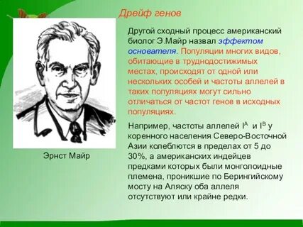 Эрнст майер