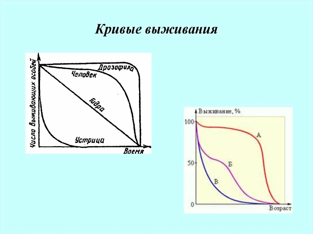 Стационарная кривая. Кривая выживания 1 типа. Кривые выживания экология. Различные типы кривых выживания. Три типа кривых выживания.