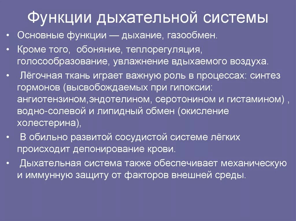 Основные функции дыхания