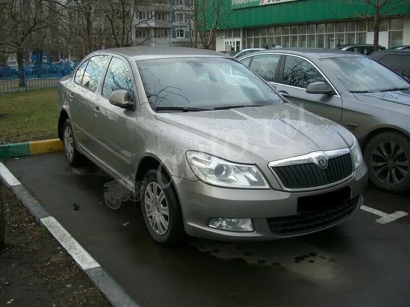 Шкода 2009 купить. Skoda Octavia 2009. Шкода Octavia 2009.