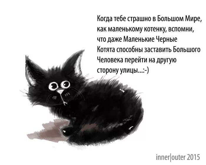 Стих про черного кота. Стих про черного котика. Стишки про черного кота. Стих про черного котенка. День котов стихи