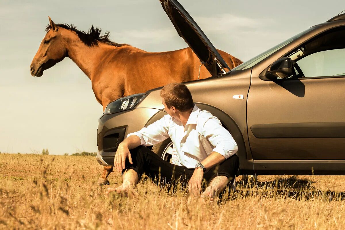 надеяться конь