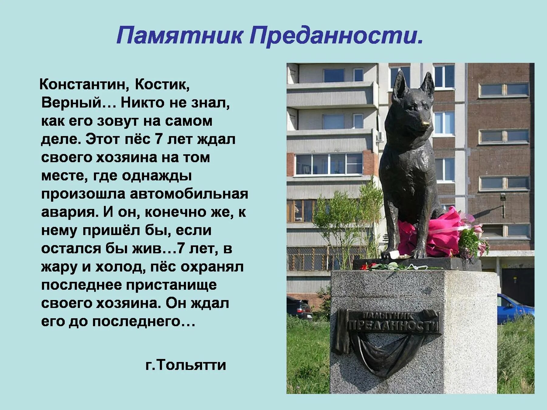 Тольятти памятник собаке верному. Памятник собаке поводырю в Берлине.