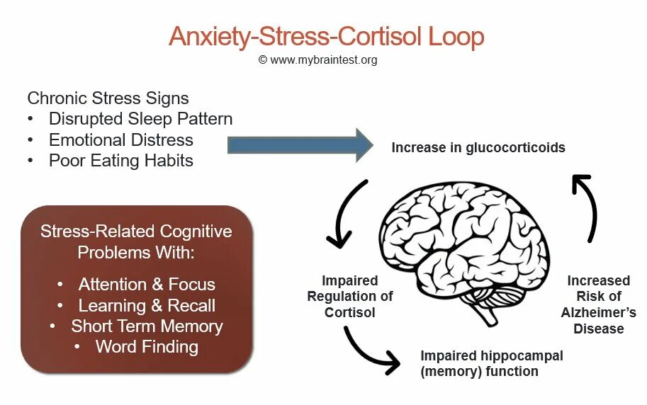 Chronic stress. Материал stress. Стресс мозг. Stress and Anxiety. Effect o