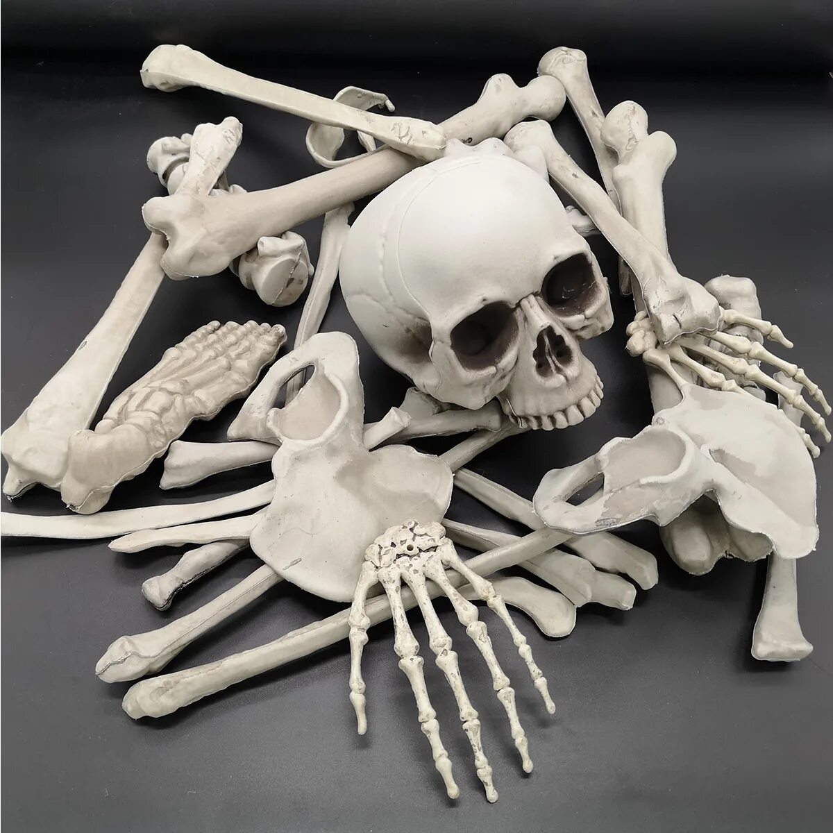 Облегченный скелет. Искусственный скелет.