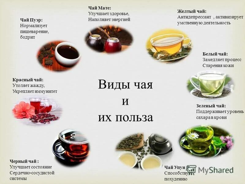 Чаю что значит. Виды чая. Влияние чая на организм человека. Польза чая. Виды чая и польза.