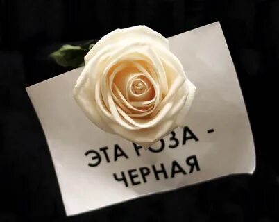 Ухожу в реальную жизнь