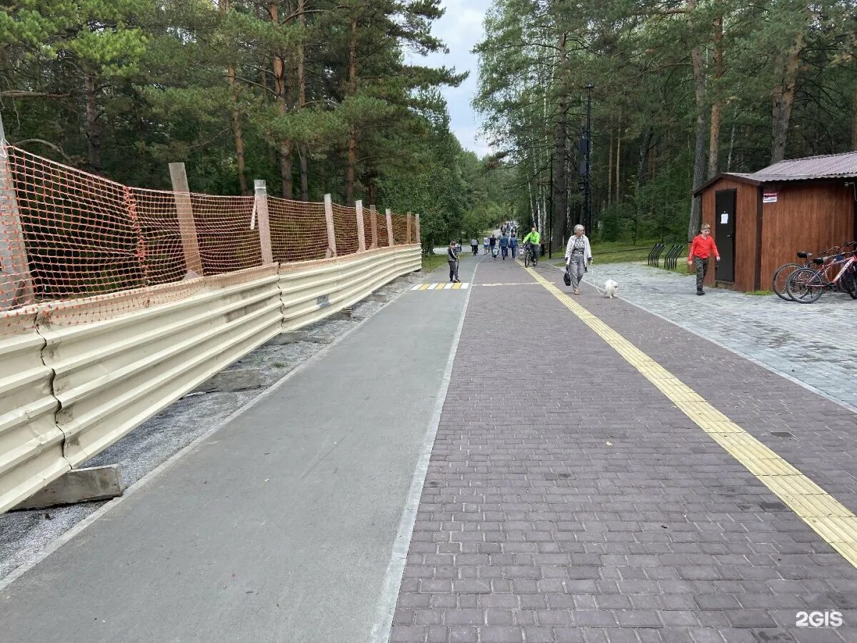 Бассейн в заельцовском парке