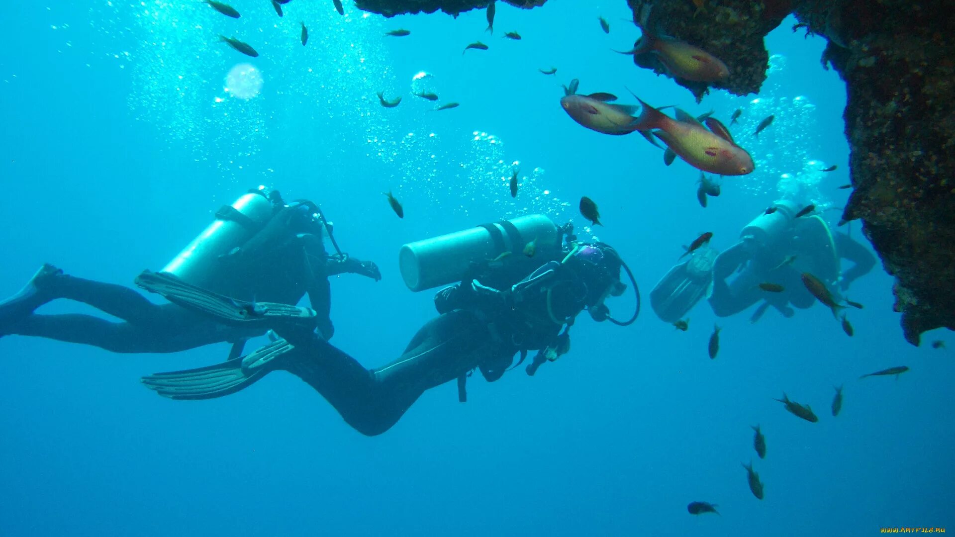 Плавать с аквалангом. Дайвинг анталия. Дайвинг. Dive 1. Акваланг геленджике.