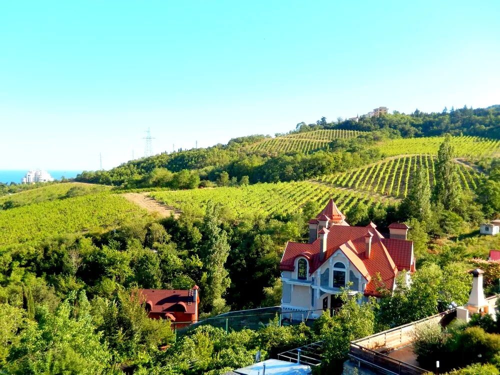 Алушта восточная набережная дельфинами. Участок у моря. Земельные участки сво в крыму. Земля в собственность в крыму. Микрорайон дельфин крым.