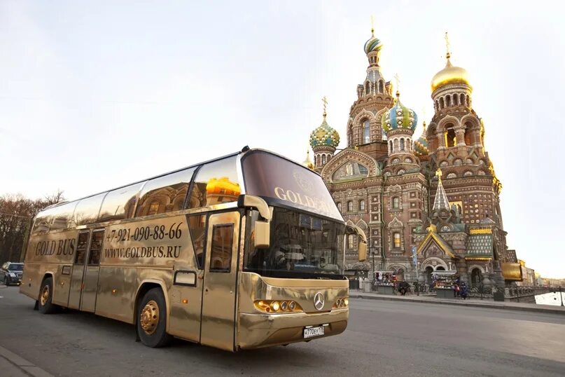 Патибас золотой. Пати бас Голд. Золотой автобус. Экскурсионные автобусы в санкт петербурге