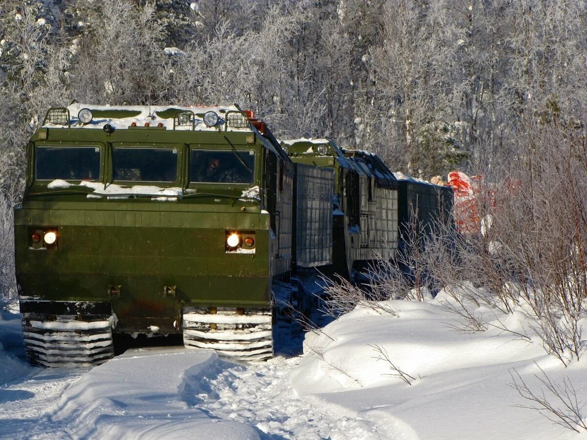 Купить дт 30. Вездеход ДТ-10п Витязь. Вездеход Витязь ДТ 30п. Тягач Витязь ДТ 30. ДТ-30 вездеход.