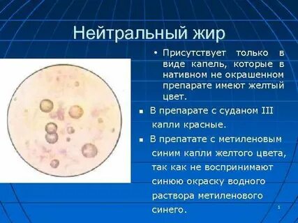 Жир в кале