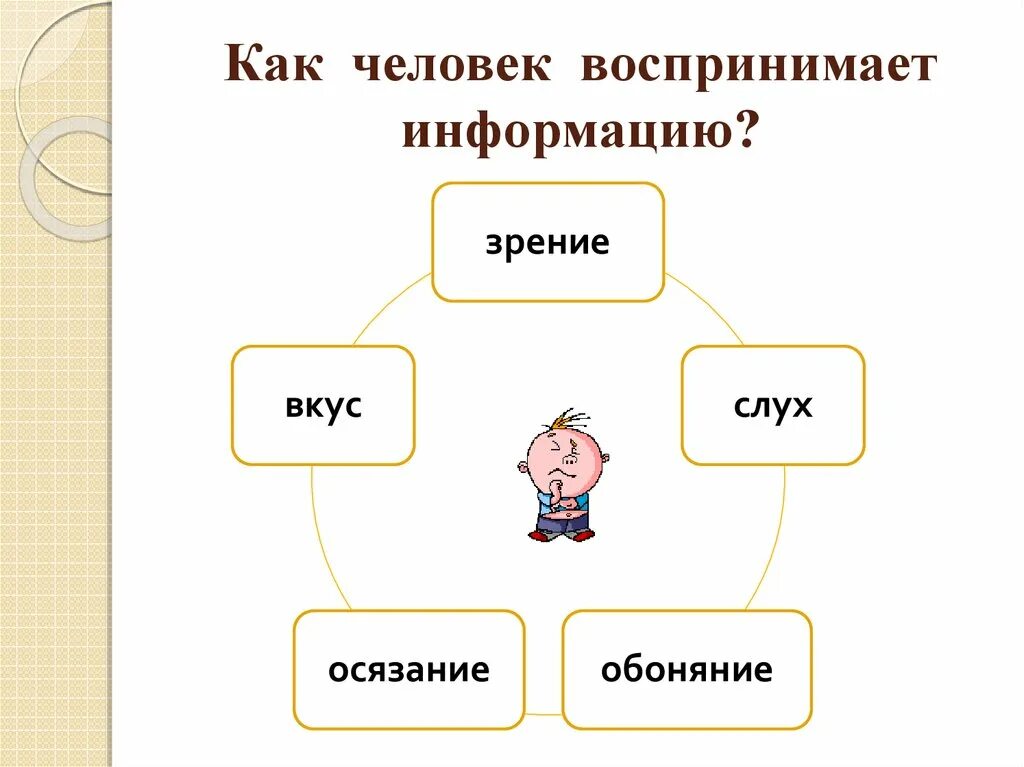 Как человек воспринимает информацию. Как воспринимается информация человеком. Как человек воспринимает информацию Информатика. Виды получения информации. В первую часть информации и