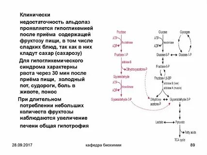 Глюкоза усвоение