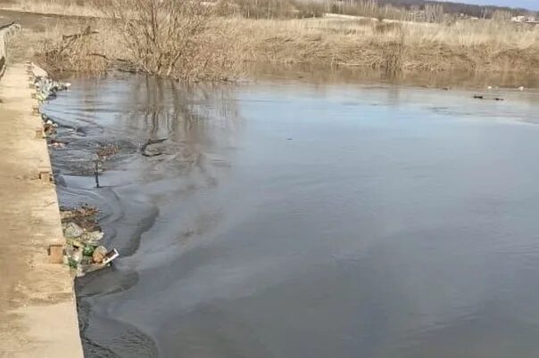 Уровень воды в упе тула сегодня. УПА Тула уровень воды. Набережная Дрейера в Туле затоплена. Разлив Упы в Тульской области. Фёдоровка река Тула.