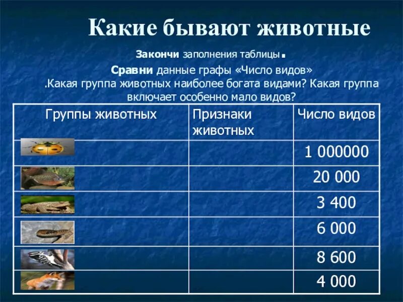Закончи заполнение: найдено 89 изображений
