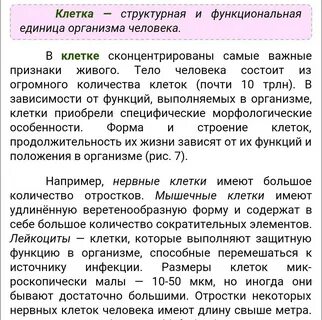 Класс биологии сочинение
